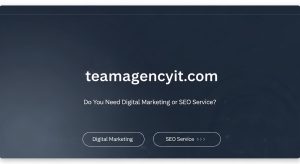 Do You Need Digital Marketing or SEO Service